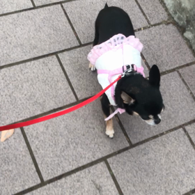 待って〜〜〜W(`0`)Wの画像