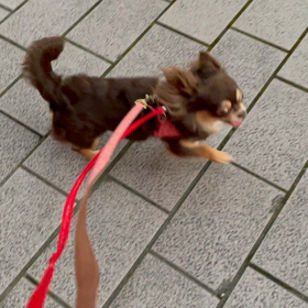 時散歩^ ^の画像