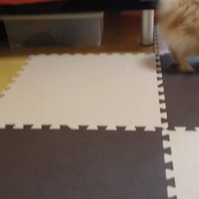楽しいね～のんちゃん♪の画像
