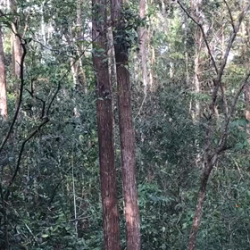 案の定…の画像