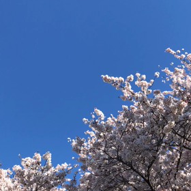 エネルギーワークは哲学⁈の画像