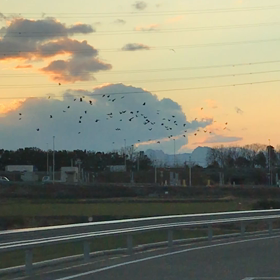 ブログねたの画像