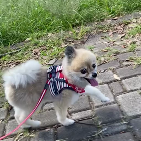 誰もいない………の画像