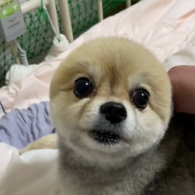 まん丸警報発令(笑)の画像