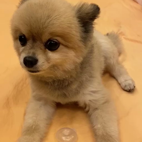 だから～頭じゃなくてさぁ・・・の画像