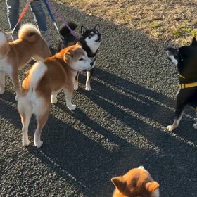 合唱団の画像