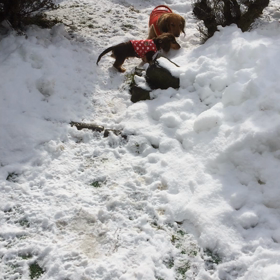雪遊びの画像