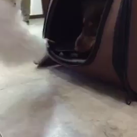 ぼくの！！じゃないでしょ！の画像