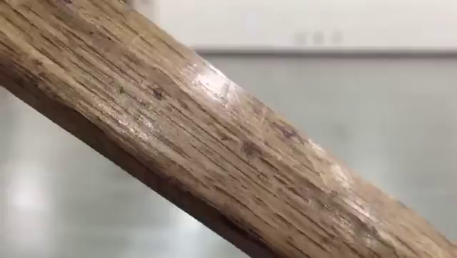 バタバタんっ(´͈ ૢᐜ `͈ૢ)の記事動画