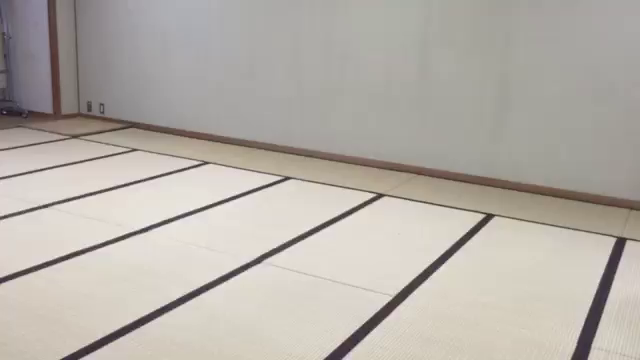 殺陣(たて)動画( •̤ᴗ•̤ )の記事動画