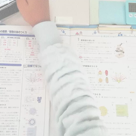 反省しましたの画像