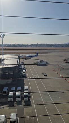 伊丹空港✈️の記事動画