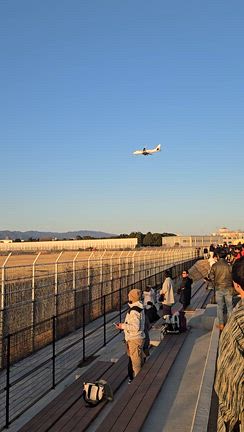 伊丹空港✈️の記事動画