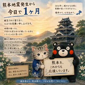 2026/08/28の画像