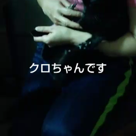 爪切り執行No’1の画像