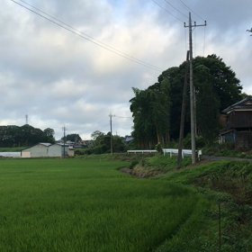 6月30日の画像