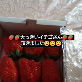2022/02/04の画像