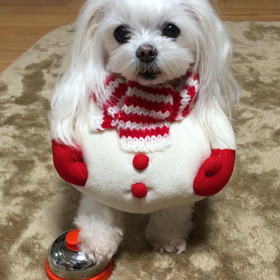 雪だるま⛄️の画像