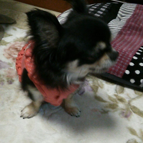 ビックリしました(ﾟДﾟ)の画像