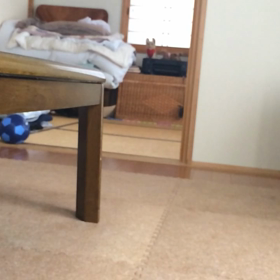 ドッグランなうの画像