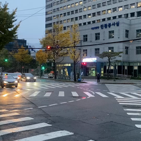 初雪の画像