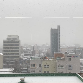 雪のSeoul❄️の画像