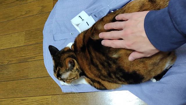 今日のコーディネート（スーツスタイル）の記事動画