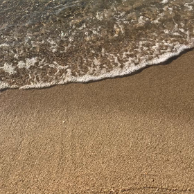 海の画像