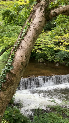 ⭐️「吉方向」会津若松へ。「水の気」からのパワーアップ⤴️と大山祇神社⛩〜鳥追観音 への記事動画