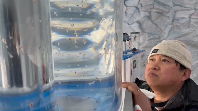 クリオネの記事動画