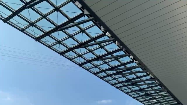 ジップラインの記事動画