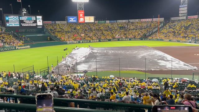 阪神園芸さんありがと！阪神勝ったどー！の記事動画