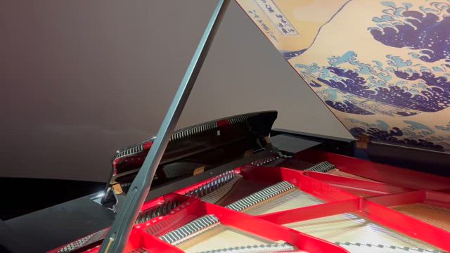 9/9万博行ったよ〜の記事動画
