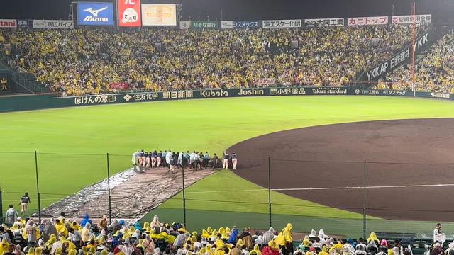 阪神園芸さんありがと！阪神勝ったどー！の記事動画