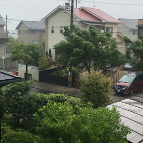 台風、台風、台風！の画像