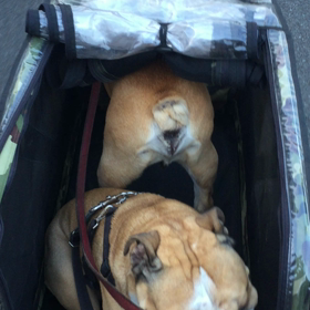 帰り道の画像