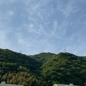 癒し✨の画像
