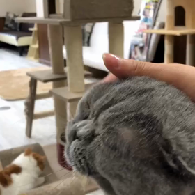 まりあんぬ様の画像