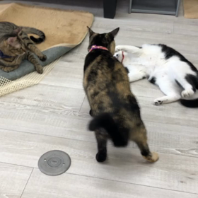 やる気です。の画像