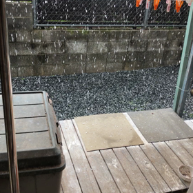 正しく雨アラレの画像
