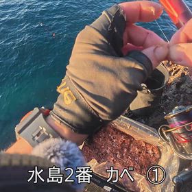 鵜来島2の画像