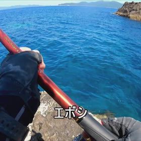 エボシ2の画像