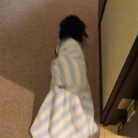 感謝の大晦日の画像
