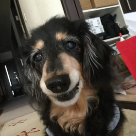 どうもありがとうございました♡の画像
