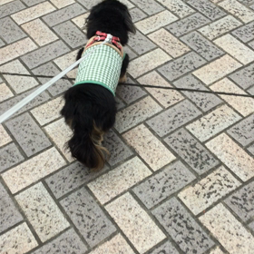 勝率10割なうらんの画像