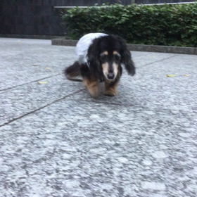 嬉しい＼(^o^)／の画像