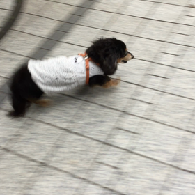 うらんの試練！の画像