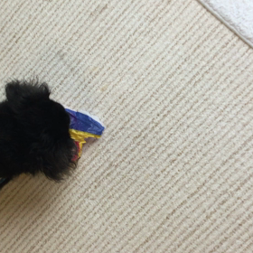 紙風船の画像