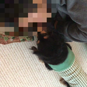 起きてください！の画像