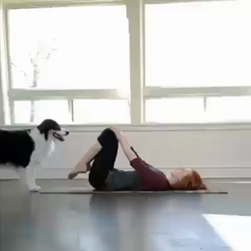ドッグヨガの画像